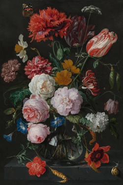 Collectie Rijksmuseum